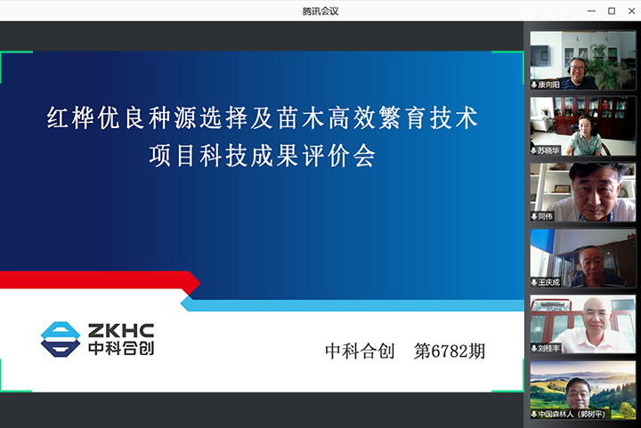 红桦优良种源选择及苗木高效繁育技术 xiao.jpg